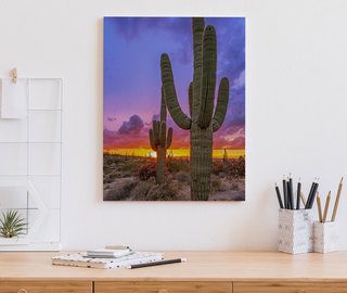 solnedgang over en dal full av kaktusar tavlor for kontoret tavlor demural