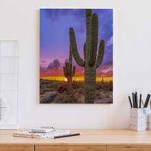 Solnedgang-over-en-dal-full-av-kaktusar-tavlor-for-kontoret-tavlor-demural