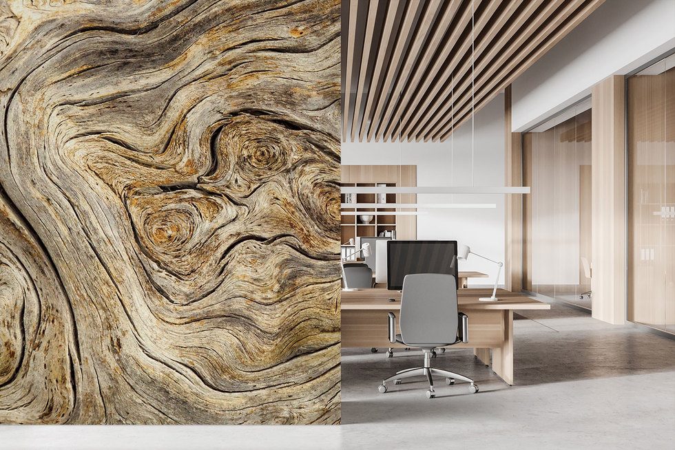 Fantastisk struktur av gammalt trä Tapeter för kontoret  Tapeter Demural
