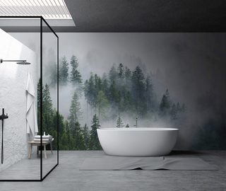 du beundrar den dimmiga skogen pa avstand tapeter for badrummet tapeter demural