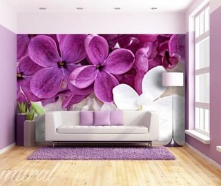 violett i vardagsrummet blommor tapeter tapeter demural
